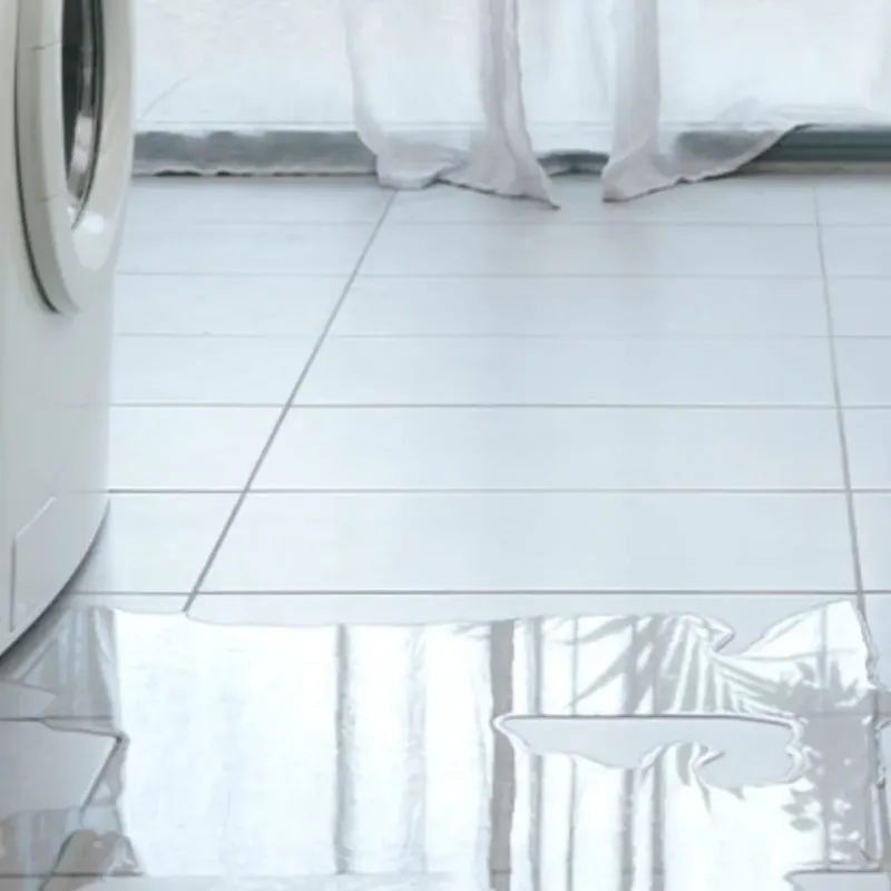 Appliance Leak Cleanup in Shady Hollow, TX