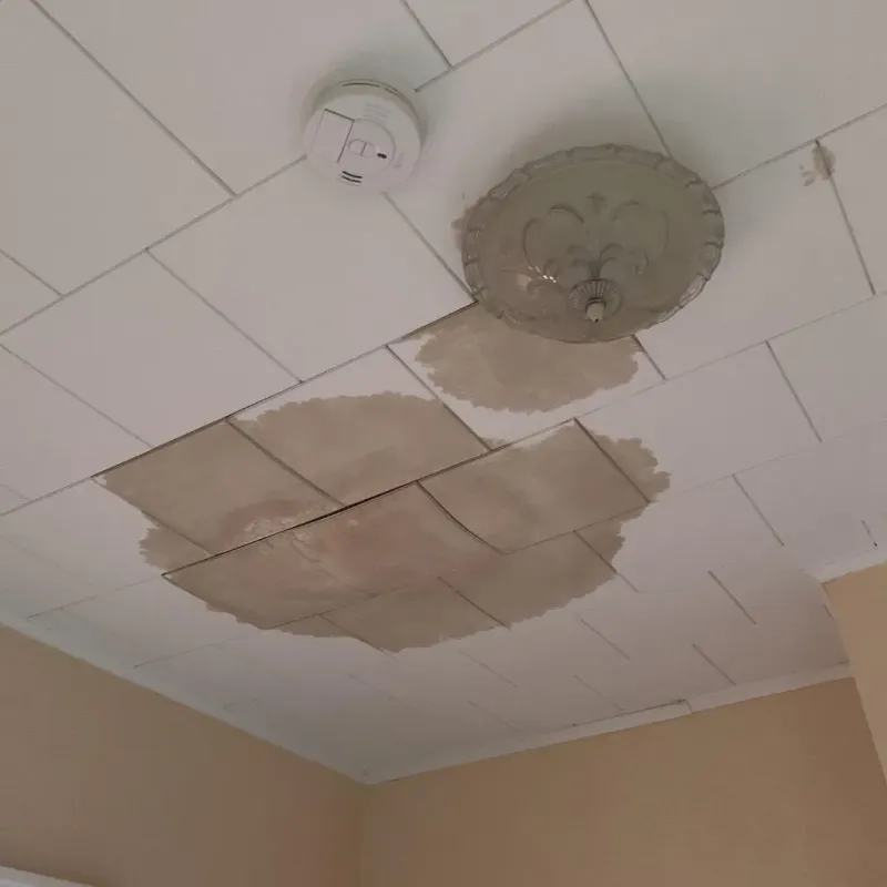 Ceiling Water Damage Repair in Shady Hollow, TX