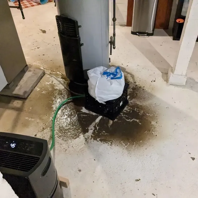 Sewage Backup Cleanup Service in Shady Hollow, TX